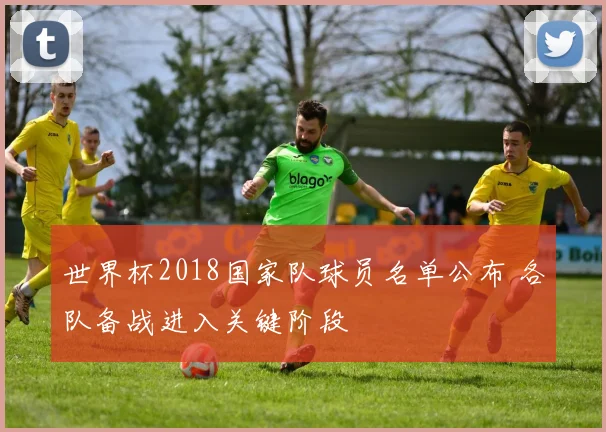 世界杯2018国家队球员名单公布 各队备战进入关键阶段