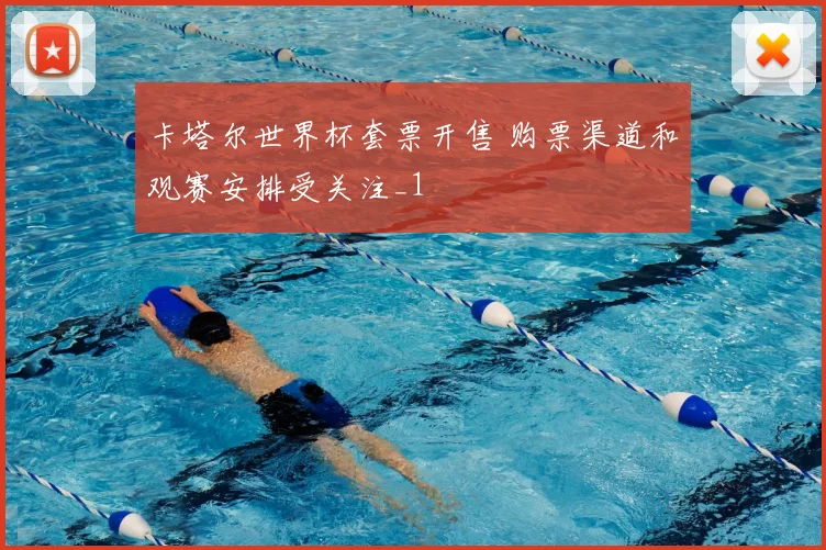 卡塔尔世界杯套票开售 购票渠道和观赛安排受关注_1