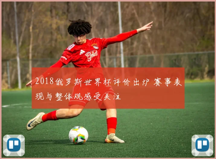 2018俄罗斯世界杯评价出炉 赛事表现与整体观感受关注