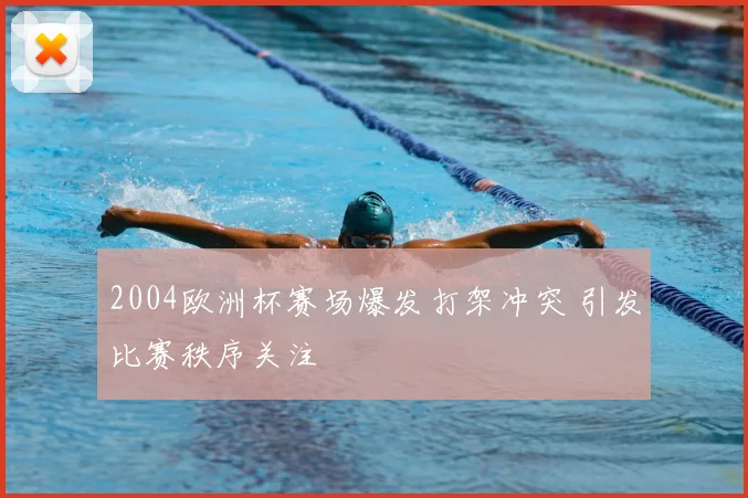 2004欧洲杯赛场爆发打架冲突 引发比赛秩序关注